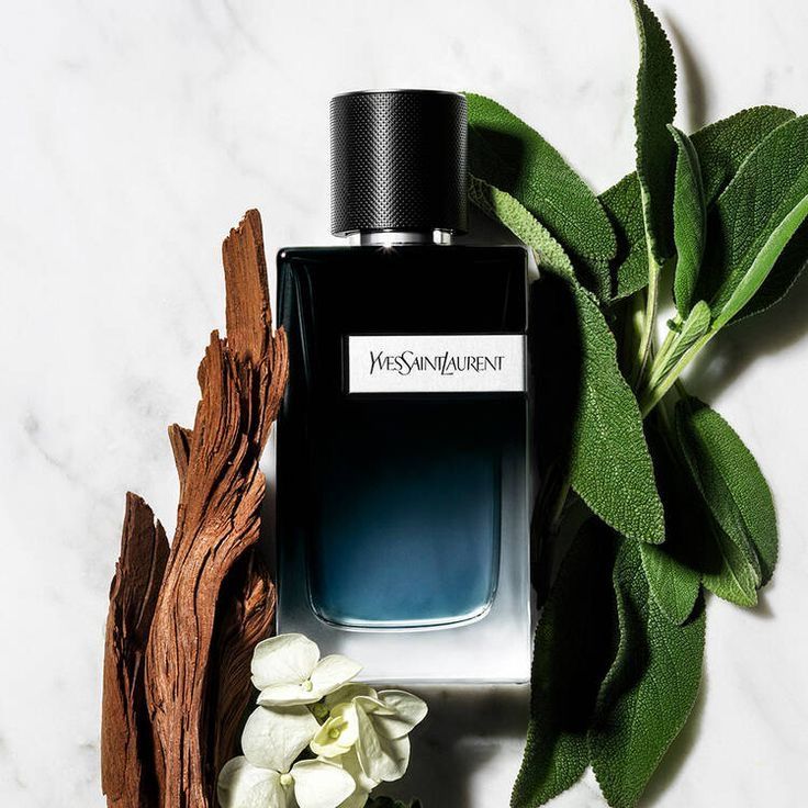 YSL Y EDP